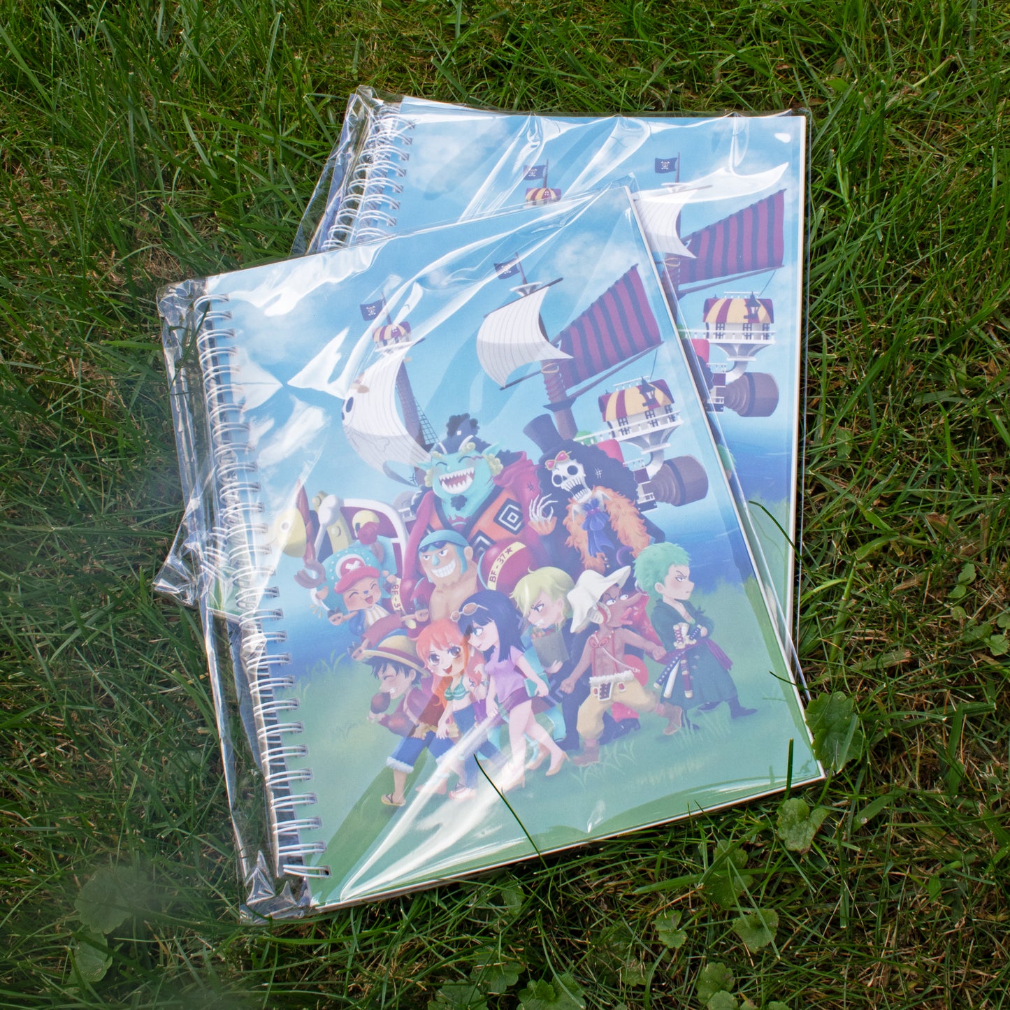 B5 Reusable Sticker Book - Straw Hat Crew